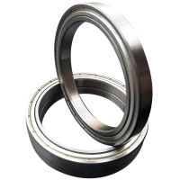 日本进口工艺C7NSK轴承 61915 61916 61917 61918 61919 Z ZZ /-2Z 铁封深沟球