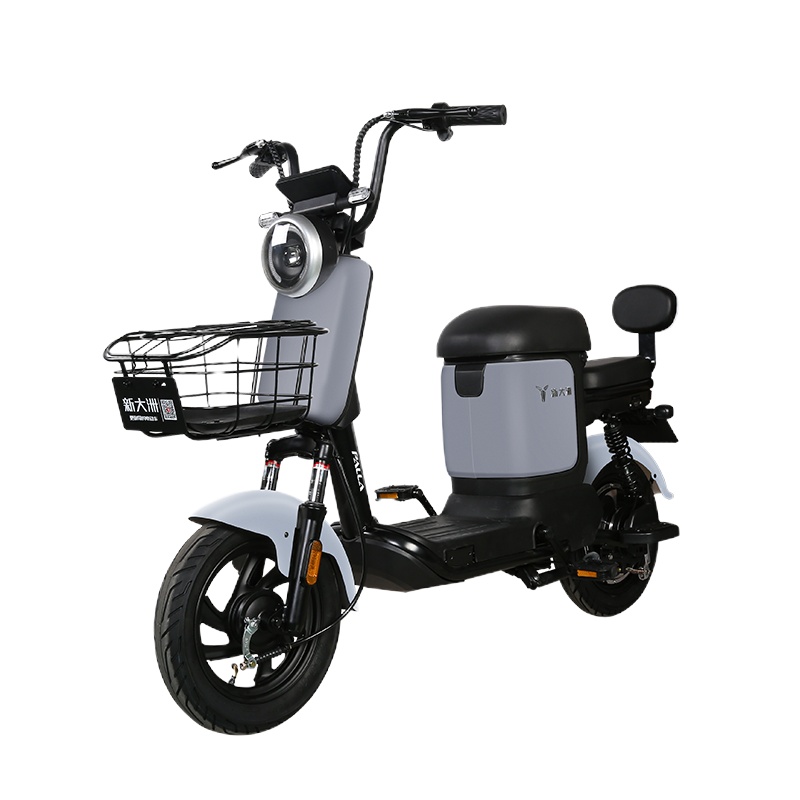 派乐/PALLA KX 电动车新国标电瓶车48V12AH男女士成人踏板代步车两轮电动自行车 油光尼卡灰