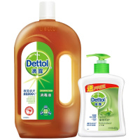 滴露(Dettol)消毒液1.2L+植物呵护洗手液450g 1.2L+450g