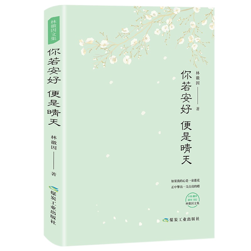 林徽因作品集你若安好便是晴天 林徽因传人物传记 白落梅名人传记散文随笔 文学 白落梅的书诗歌花落何处青感随笔集