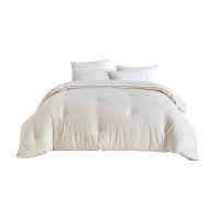 茜茜公主全棉提花大豆纤维秋冬加厚双人被芯