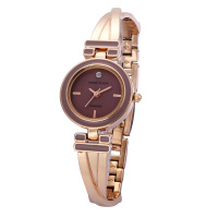 安妮克莱因（ANNE KLEIN）璀璨永恒系列X型迷你镶钻石英女士手表AK/2622MVRG