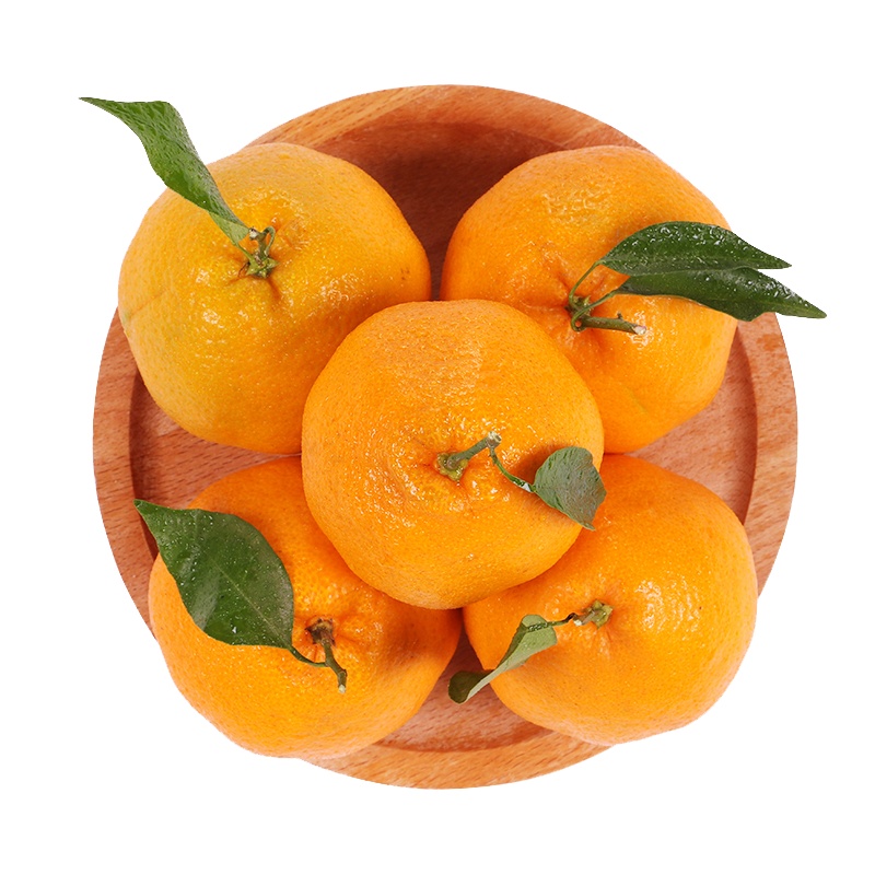 四川春见耙耙柑 丑柑橘子 精选优级大果 带箱约 5斤装 单果约120-180g 新鲜水果