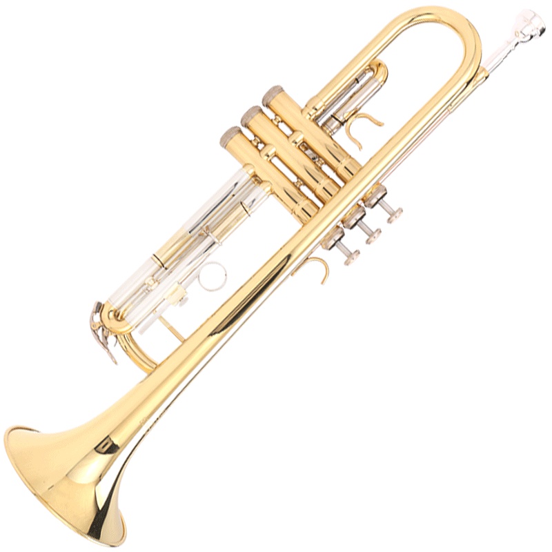 梵巢 FLOFAIR 小号 三色 黄铜 初学 入 乐队 演奏 中音 乐器 FTR-700
