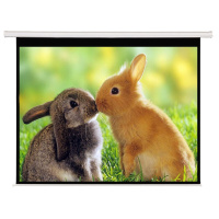 莱特斯 投影仪幕布 120英寸16:9 高玻纤遥控幕布 (一个装)可定制