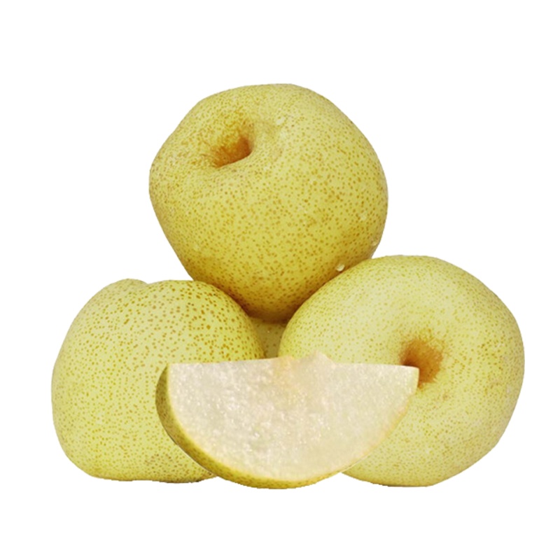 安徽砀山酥梨 十斤装(约13-18个)新鲜水果