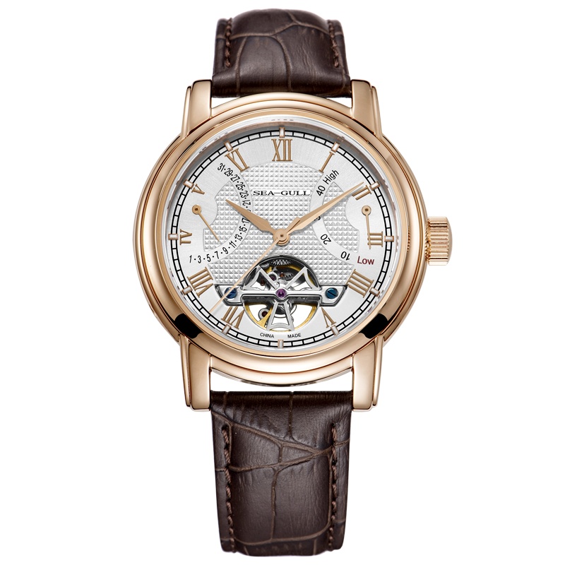 海鸥表(SEAGULL)男表机械男士手表镂空多功能皮带表D519.625