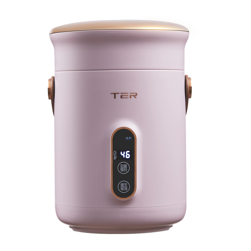 TER小电炖锅1-2人迷你BB煲汤煮粥锅家用养生便捷小型多功能电煮锅