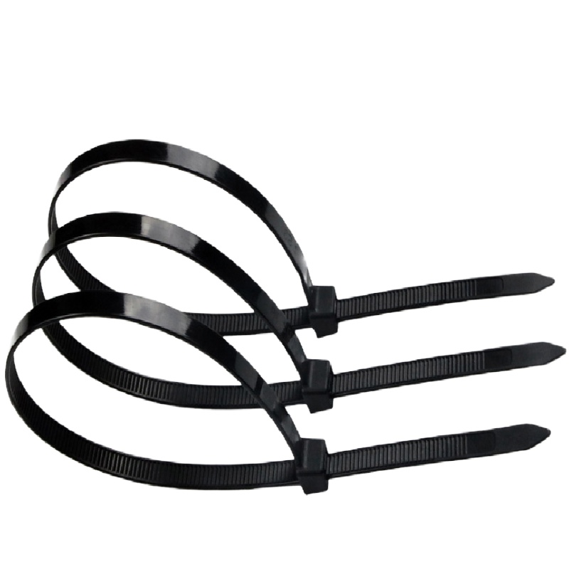 尼龙扎带 (300*4.6mm100支)