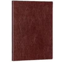 得力 3185 笔记本 16K商务皮面本 160张/本 (一本装)可定制