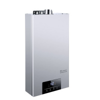 燃气热水器黄金蛋电家用即热式恒温天然气强排式液化气煤气12升_旋钮款10升强排式非恒温_天然气