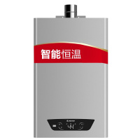 阿里斯顿(ARISTON)13升燃气热水器JSQ32-Di9 FD 12T