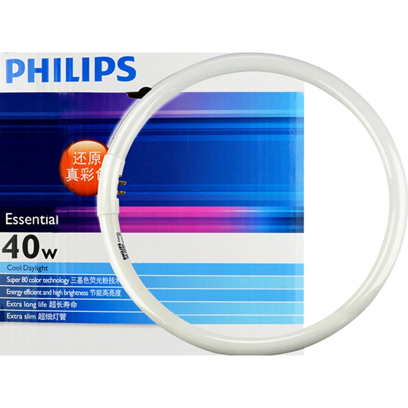 飞利浦 22W照明环形灯管 白光6500K (单位:件)