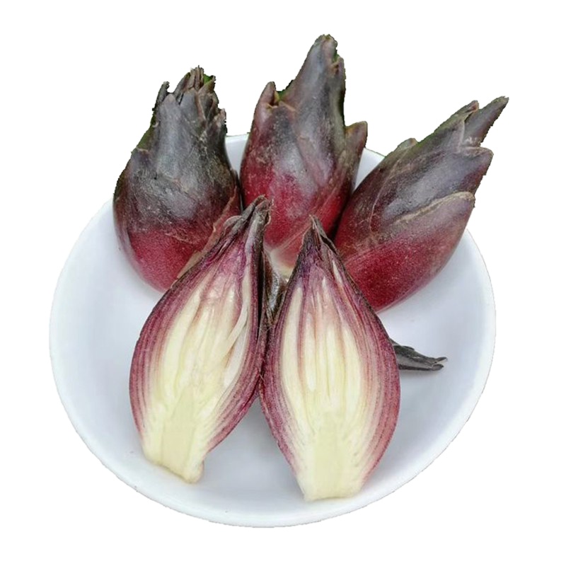 5斤 新鲜阳荷姜 洋荷元和姜洋霍元荷野山姜茗荷阳霍姜