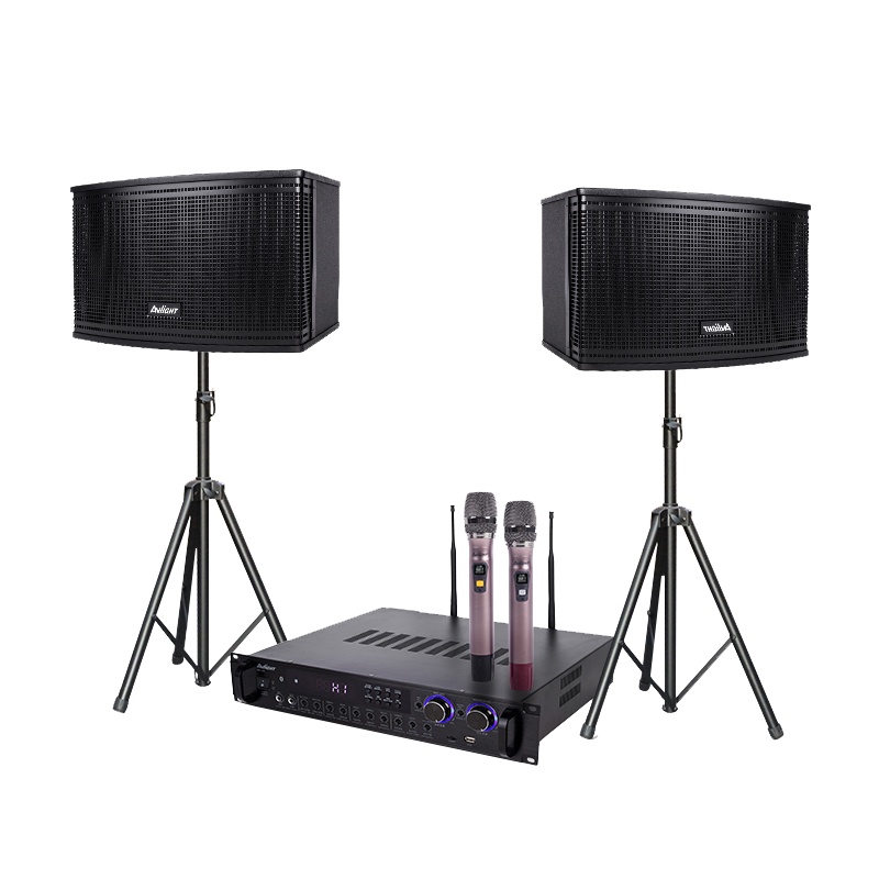爱浪(AvliGHT)MK100-10 KTV音响套装家庭影院客厅电视会议音箱卡拉OK无线U段话筒