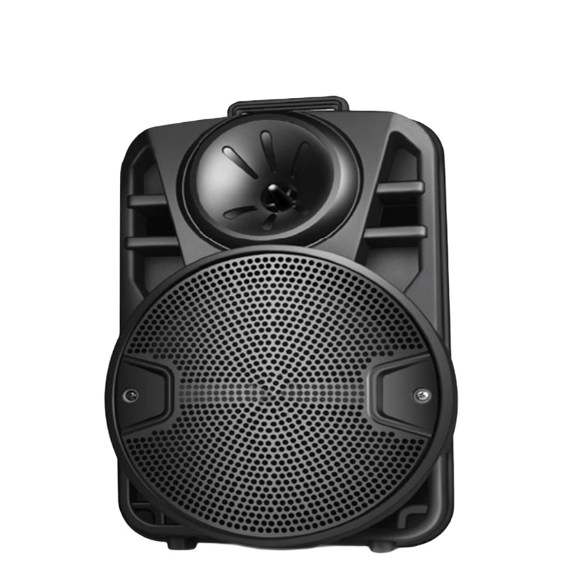 雷盛-G031喇叭自带播放系统便捷音响