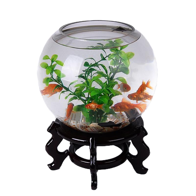 透明圆形玻璃鱼缸水培绿萝玻璃大花瓶水族工艺品摆件客厅装饰品 25公分直径