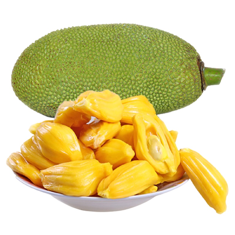 [西沛生鲜]海南黄肉菠萝蜜 新鲜水果 香甜可口 1个 净重30-35斤装 西沛水果