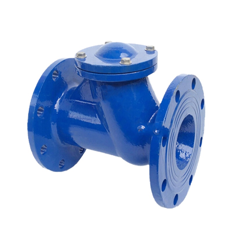 双箭升降式止回阀DN300mm 1个