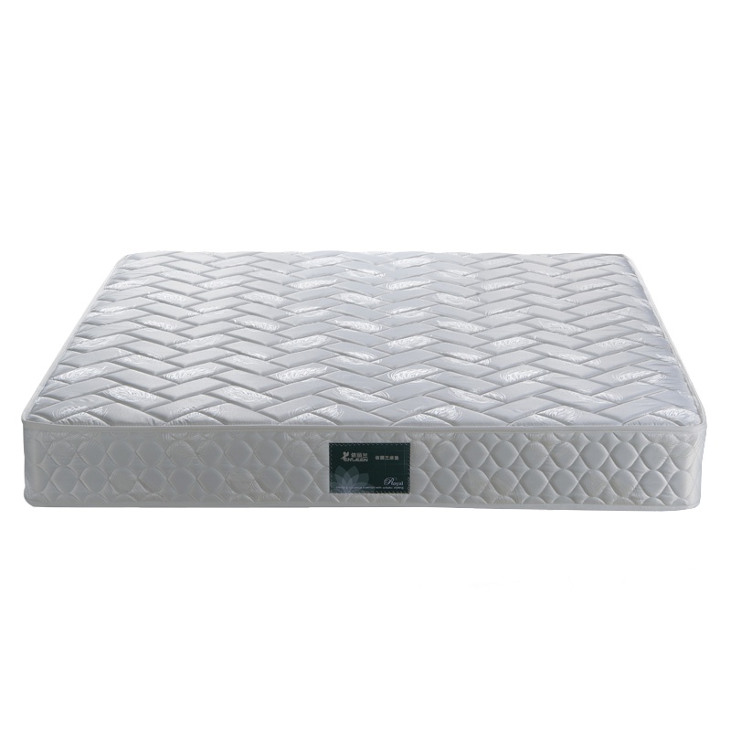 依丽兰 椰棕弹簧床垫 3E椰棕棕榈棕垫 精钢弹簧床垫 软硬两用 现代简约卧室家具 斯嘉丽