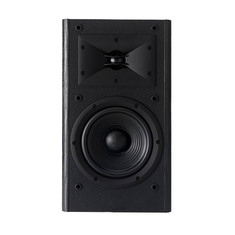 AUUG P-215专业音箱