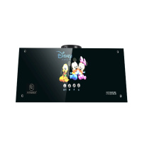 洣尔好太太抽油烟机CXW-238-QB301-亚深