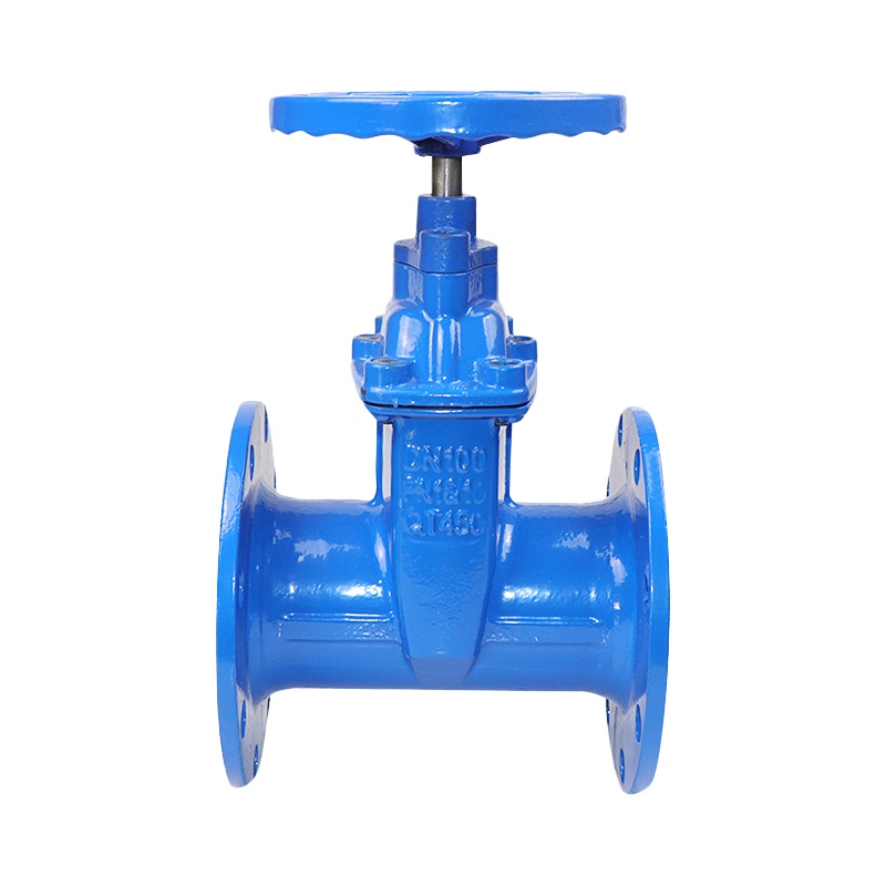 规格[DN300]法兰软密封闸阀厂家 球墨铸铁防护暗杆软密封闸阀