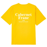 鸭鸭（100%棉）夏季新款女士短袖T恤百搭宽松韩版小众设计感上衣