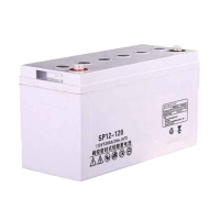 LI-WiNN UPS电源直流屏蓄电池SP-100