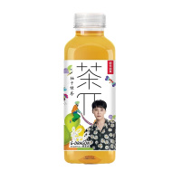 农夫山泉 茶Π 柚子绿茶口味 500ml*15瓶整箱