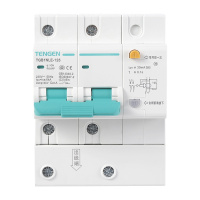 天正电气 TGB1NLE-125 2P C 63A 6KA AC230V 01070210053 微断漏电保护