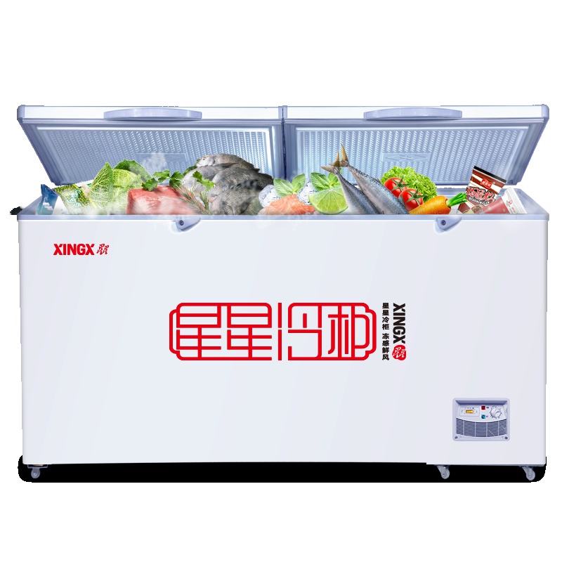 星星(XINGX) BD/BC-406E 406L 卧式 冷柜 冰柜 卧式冷柜 大冰柜商用 强冷冻设计 机械控温
