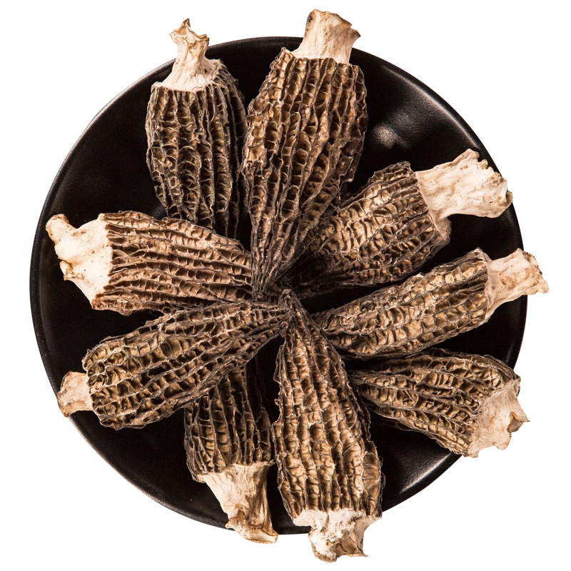 禹珍北川高山特产羊肚菌50g罐装