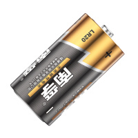 南孚 2号碱性电池2粒 大号电池 LR14-2B