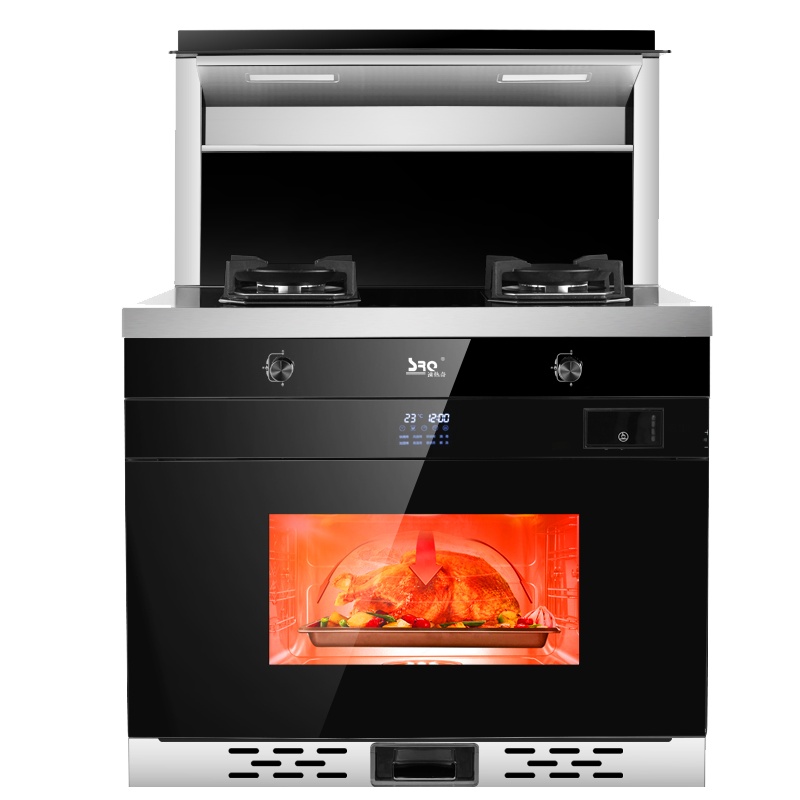 (样机) 速热奇(SRQ)集成灶 蒸烤一体 集成灶一体灶 9319 天然气[门店出样专用实体机,可直接销售]