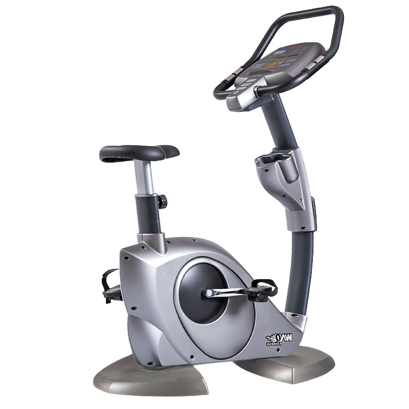 WNQ万年青 商用立式健身车室内健身车磁控静音脚踏车商用健身器材 F1-8318LB