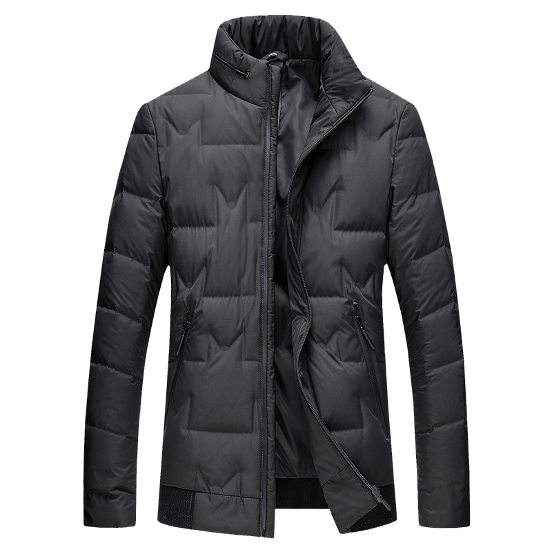 雪中飞羽绒服男2019新款冬季男士立领修身防寒保暖时尚外套男