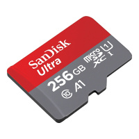 闪迪（SanDisk） 256GB 存储卡C10 A1 平板电脑内存卡 SD卡存储卡