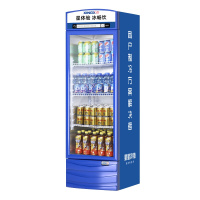 星星(XINGX) 220升展示柜 立式冰柜 保鲜柜 饮料柜 商用 双层玻璃更锁冷 饮品展示更直观 LSC-220G
