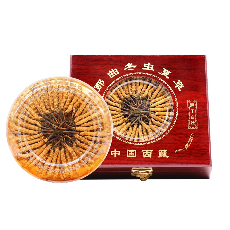 阿依舍冬虫夏草虫草正品干货5条/g10克滋补营养窗口礼盒装
