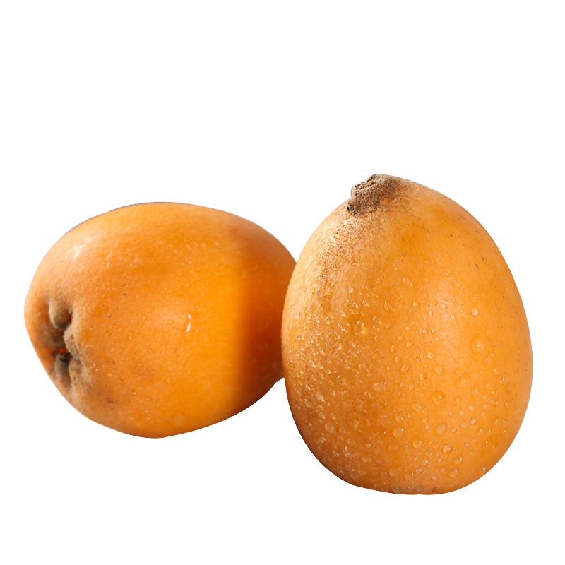 [顺丰速运]攀枝花米易枇杷1斤装中果 新鲜水果孕妇水果