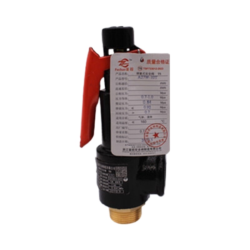 得力弹簧微启式安全阀 A27W-16C DN50(含检测费)