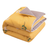 泰念Tai nian ins风小清新风冬被印花水洗棉被子亲肤棉纤维被芯加厚保暖双人床 150*200cm5斤