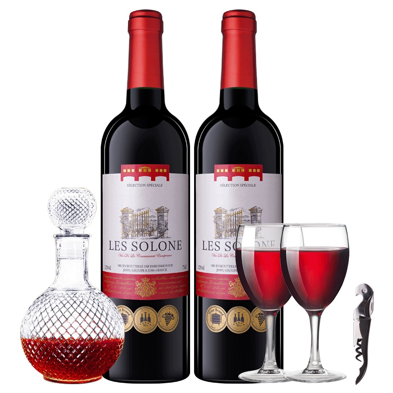 法国原瓶进口红酒 索龙世家干红750ml*2两瓶酒具装赠酒杯醒酒器开瓶器大礼包