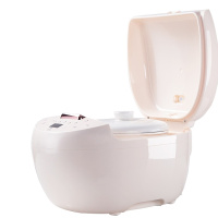 礼促迷你电炖锅