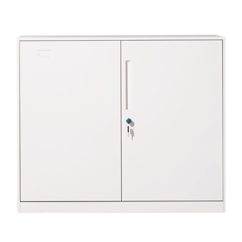 【一鹏】文件柜 资料柜储物柜 鞋柜矮柜 门口柜子茶水柜灰白色760*900*400