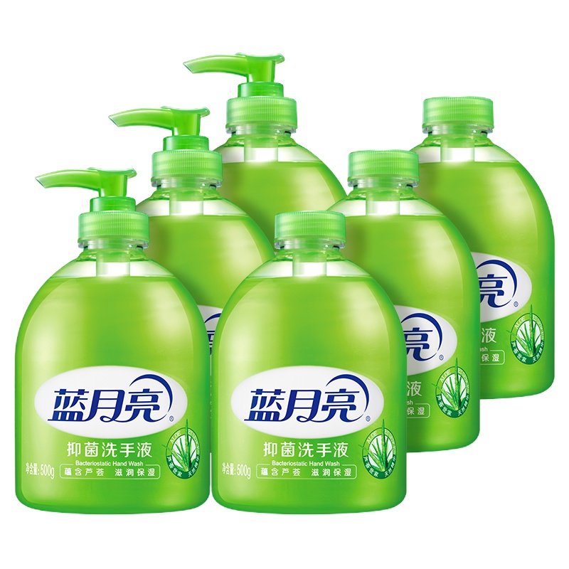蓝月亮洗手液500克/瓶 *12 瓶/箱
