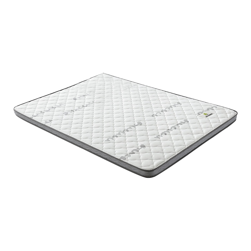 尔迈 椰棕床垫6CM棕垫 软硬两用1800*2000