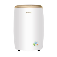 格力(GREE) 抽湿机DH40EH一机干衣 日除湿40L 24L智能定时 除湿机