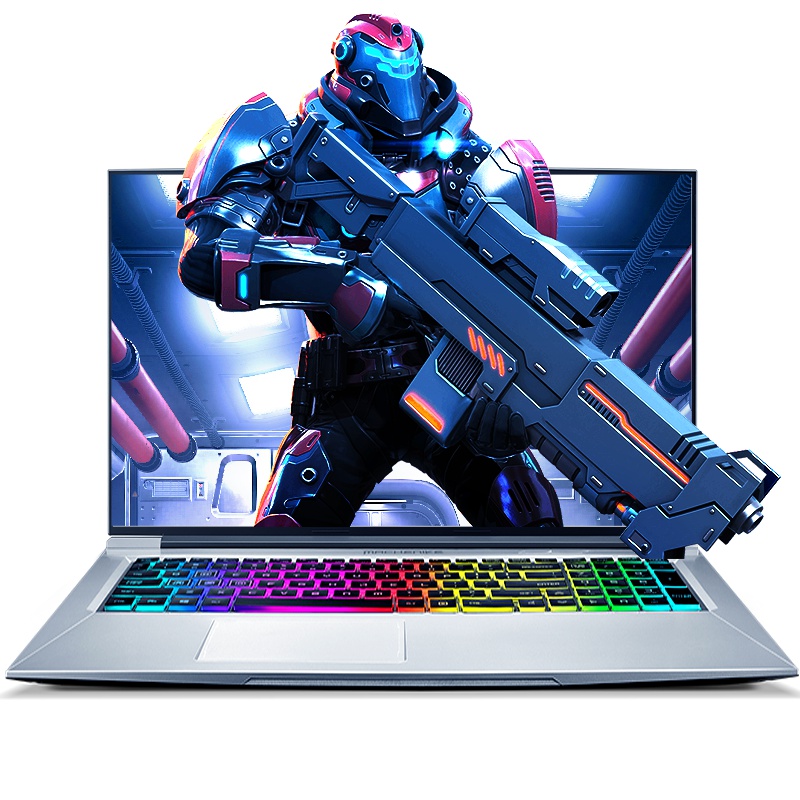 MACHENIKE机械师T90 Plus17.3英寸吃鸡发烧游戏本笔记本电脑(i7-9750H GTX1660Ti 256GB+1T 16G内存 144H)